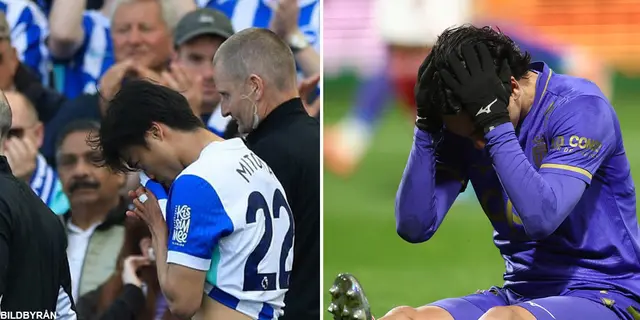 Blågula glädjebesked – Japan bekräftar skadeavbräck