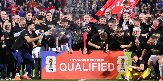 Schackrutigt redo för VM 2026