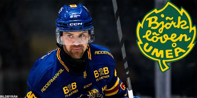 Brodin till Björklöven: ”En riktig slutspelsräv”