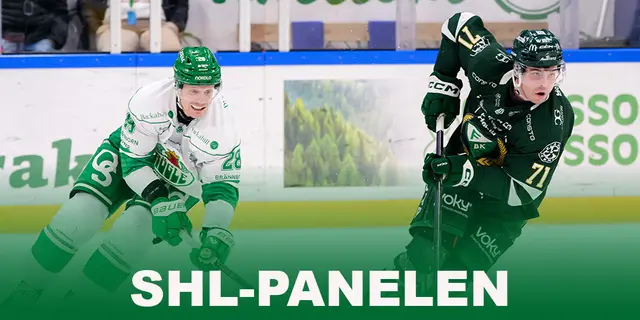 SHL-panelen tippar kvartsfinalerna