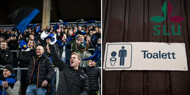 Uppsalas nya hållbarhetsprojekt – urin från supportrar kan främja stadens fotbollsplaner