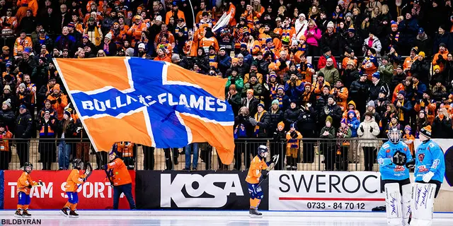 Bollnäs redaktionen tippar Elitserien