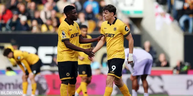 Matchrapport: Wolves-Brighton 1-1