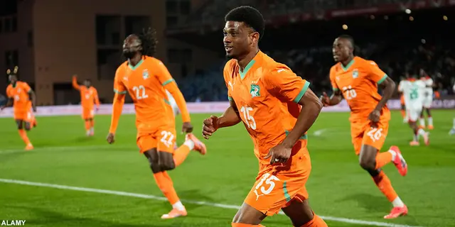 De afrikanska VM-trupperna tar form