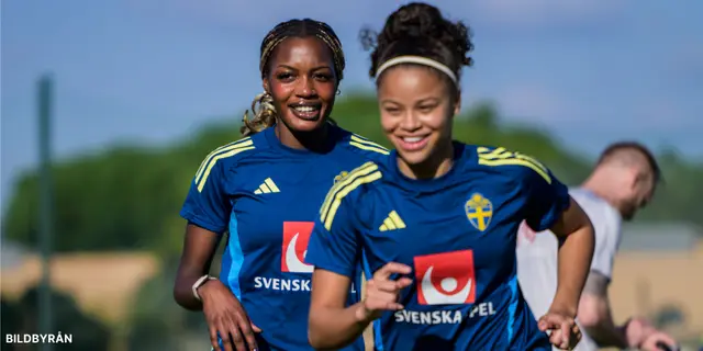 Inför Italien - Sverige: Början av VM-kvalet