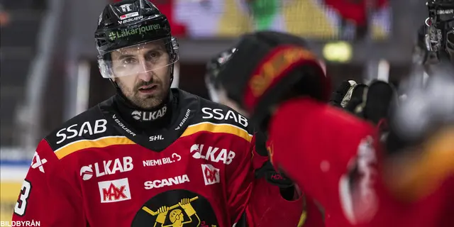 Lista: Alla lags bästa nyförvärv i Hockeyallsvenskan
