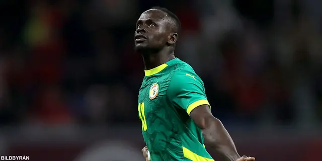 Magnus Falk: ”Det mesta handlar om Mané”