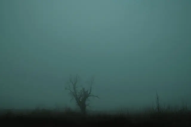 Östra Småland i Mars månad. Dimman ligger tät…