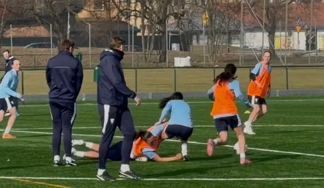 En Snapphane som Spanar - God morgon, sa jag! Underbart att höra!