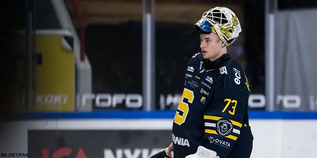 Guide: Så spelas Hockeyallsvenskans play in