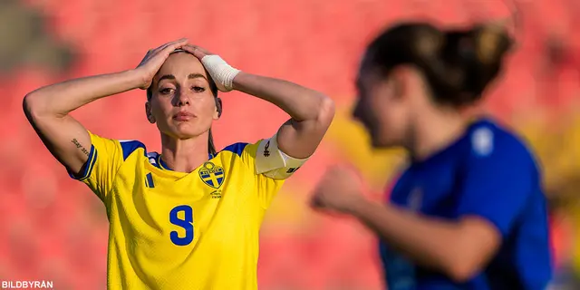 Spelarbetyg: Serbien - Sverige