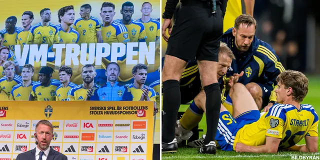 Sveriges VM-trupp - så är spelarnas status