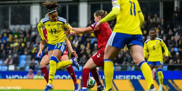 Spelarbetyg: Sverige - Danmark
