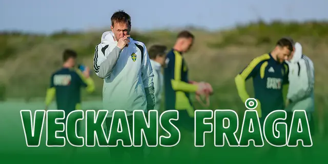 Veckans fråga: Går Sverige till VM?
