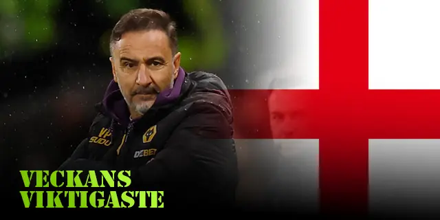VV England: "Wolves börjar om... igen"