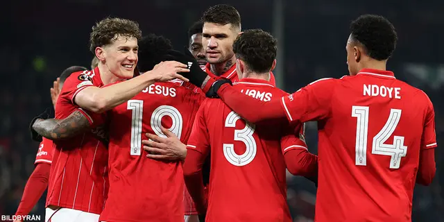 ”Forest har ett jätteläge”