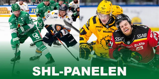 SHL-panelen tippar semifinalerna