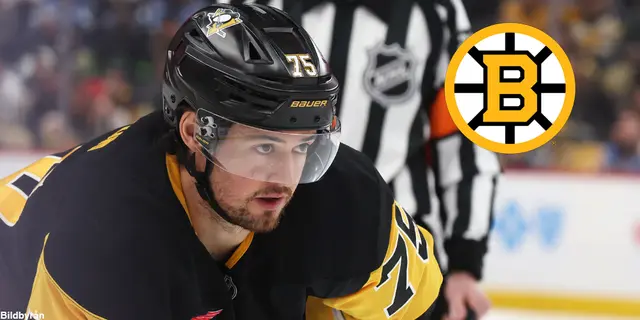 Offseason Boston Bruins: Del 8