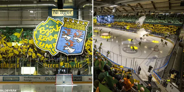 Bildextra: Björklövenfansen bjöd på mäktigt tifo 