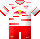 Leipzig shirt