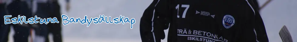 Lagbanner