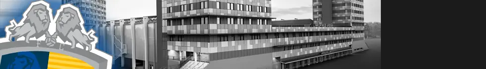 Lagbanner