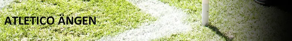 Lagbanner