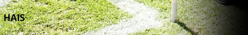 Lagbanner