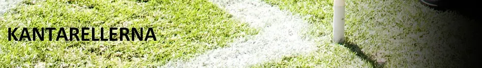 Lagbanner