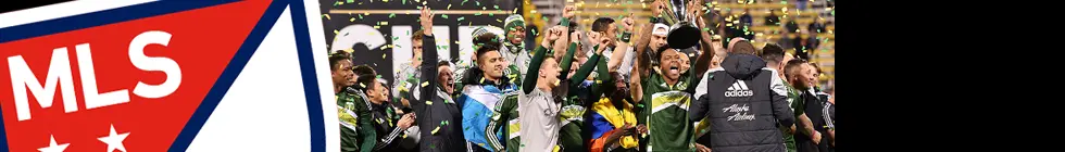 Lagbanner