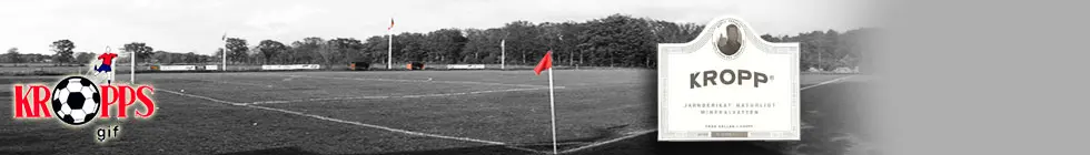 Lagbanner