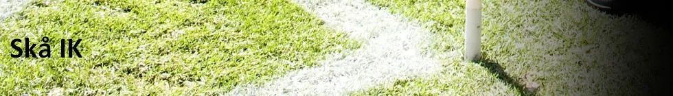 Lagbanner