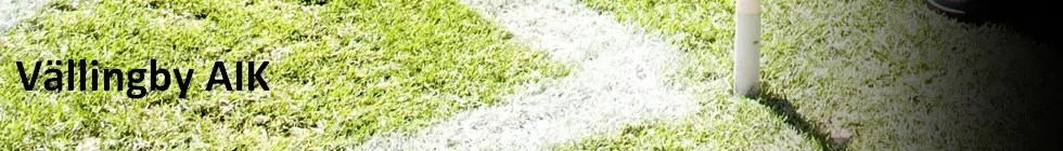 Lagbanner