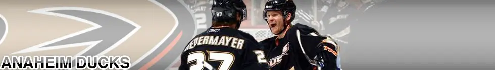 Lagbanner
