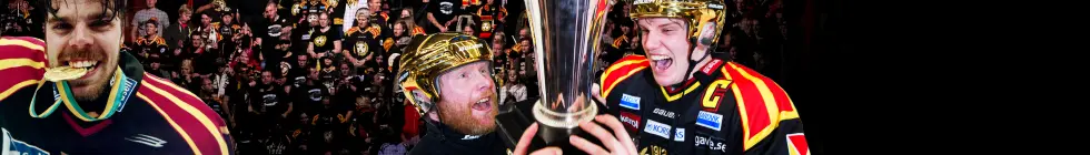 Lagbanner