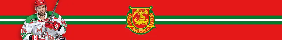 Lagbanner