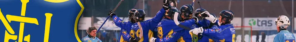Lagbanner