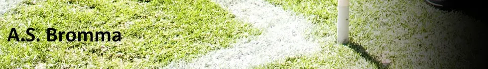 Lagbanner
