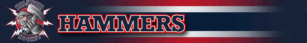 Lagbanner