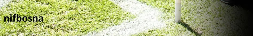 Lagbanner