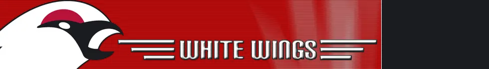 Lagbanner