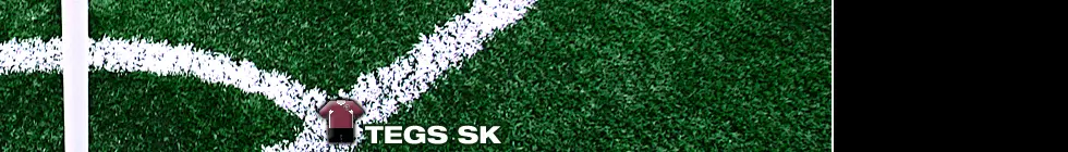 Lagbanner