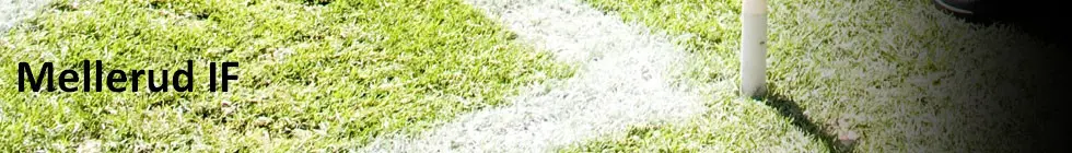 Lagbanner