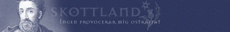 Lagbanner