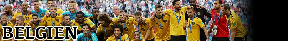 Lagbanner