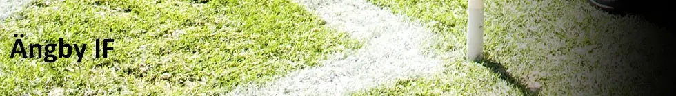 Lagbanner