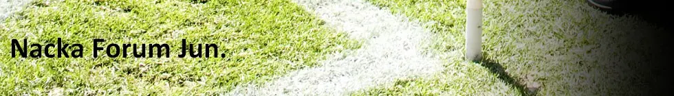 Lagbanner