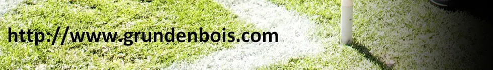 Lagbanner