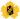 Skellefteå AIK